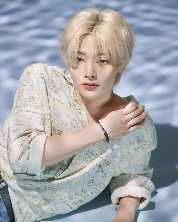 Fennec Fox (I.N of Stray Kids) Fennec Fox (I.N of Stray Kids)