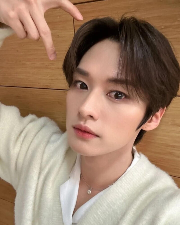 Calico Cat (Lee Know of Stray Kids) Calico Cat (Lee Know of Stray Kids)